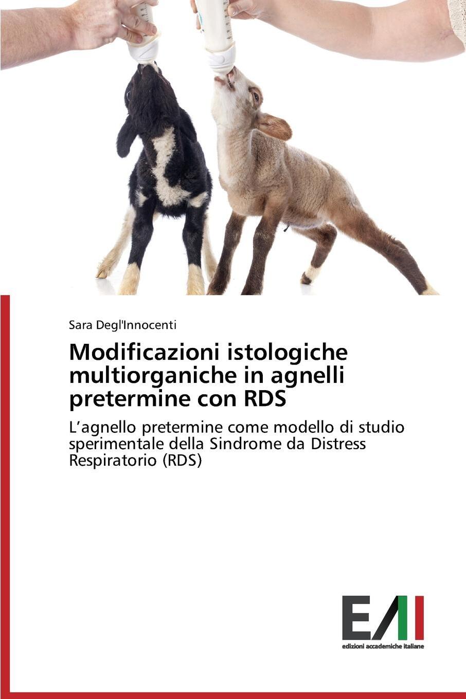 фото Modificazioni istologiche multiorganiche in agnelli pretermine con RDS
