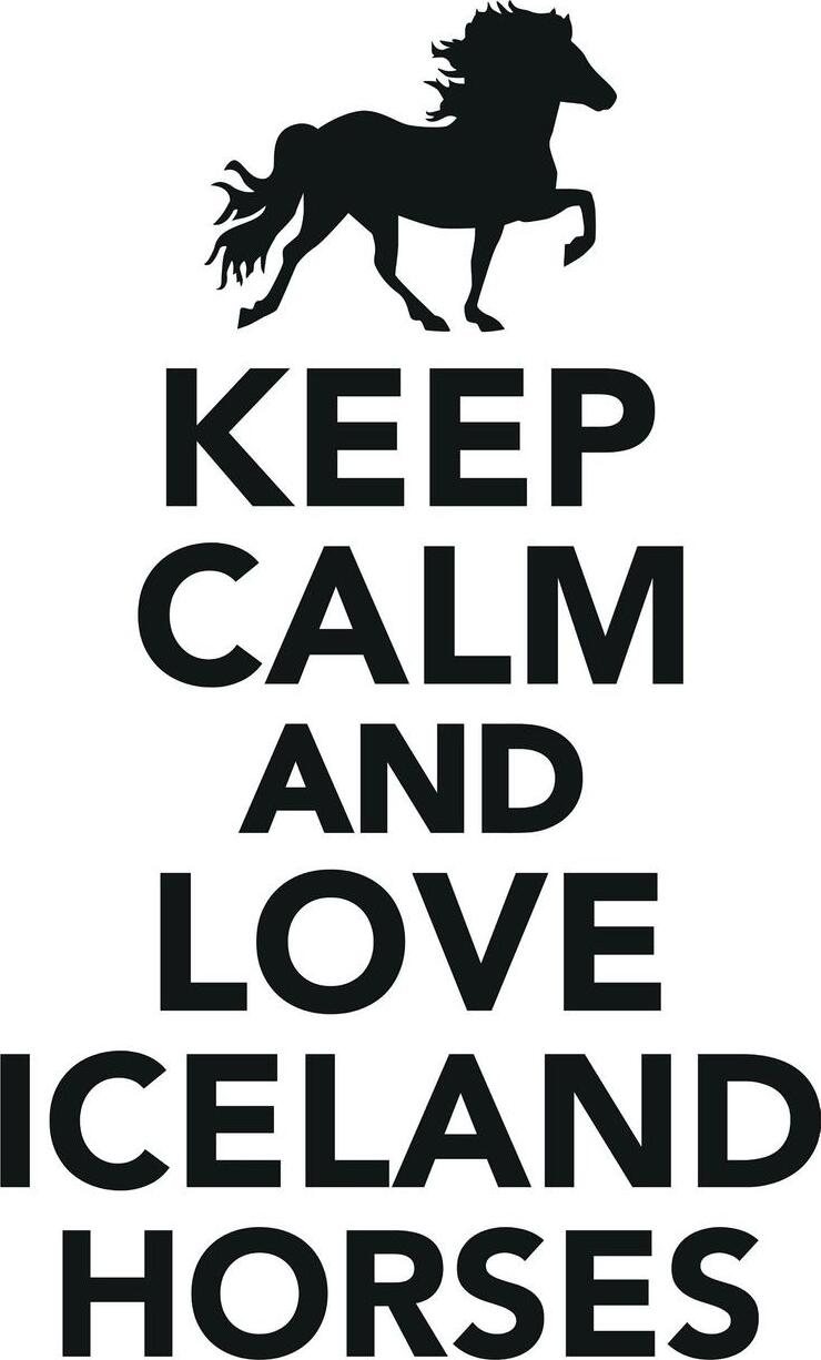 фото Keep Calm & Love Iceland Horses Notebook & Journal. Productivity Work Planner & Idea Notepad. Brainstorm Thoughts, Self Discovery, To Do List