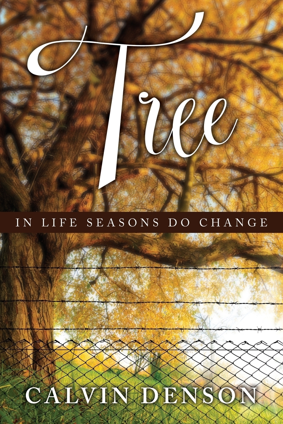 фото Tree. In Life Seasons Do Change