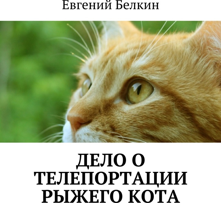 фото Дело о телепортации рыжего кота