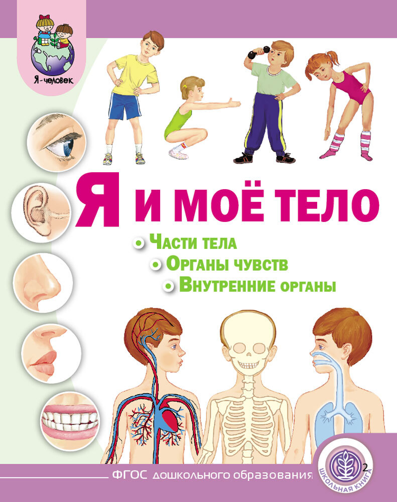 Тело человека органы чувств. Организм человека для дошкольников. Мое тело для детей. Моё тело это я. Тело человека для детей дошкольного возраста.