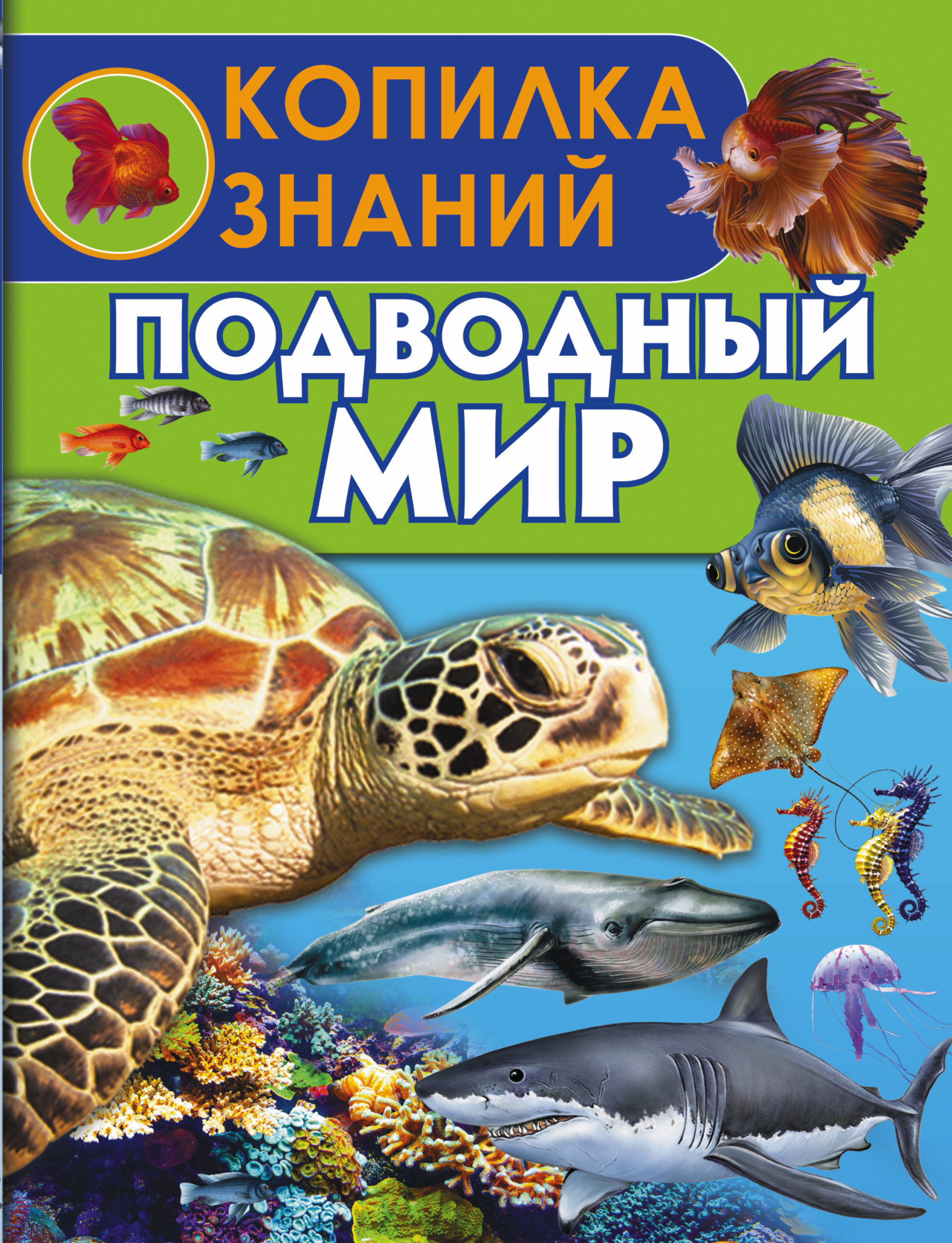 энциклопедия моря и океаны