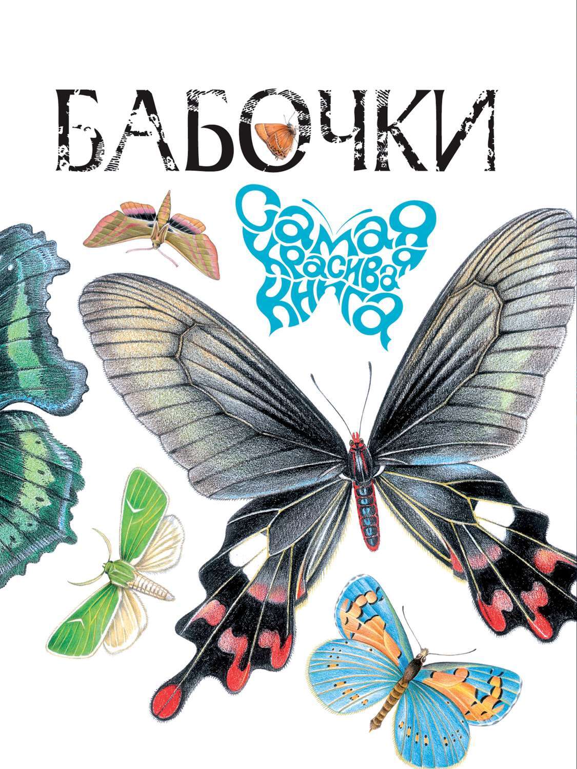 Цифровая книга "Бабочки" Бабенко Владимир Григорьевич – купить книгу с ...