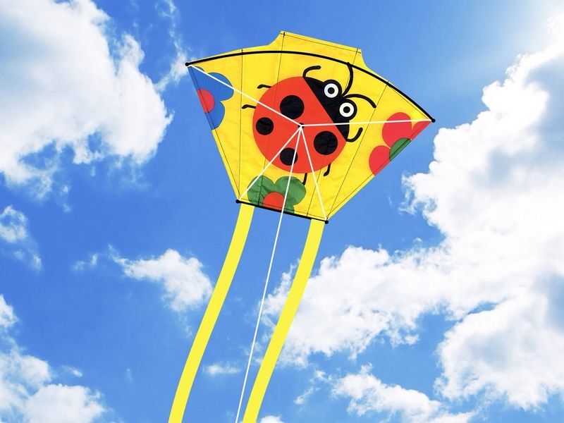 воздушные змеи. воздушный змей. воздушные змеи ромен гари. Genshin танцующие звери и пестрые воздушные змеи. необычные воздушные змеи.