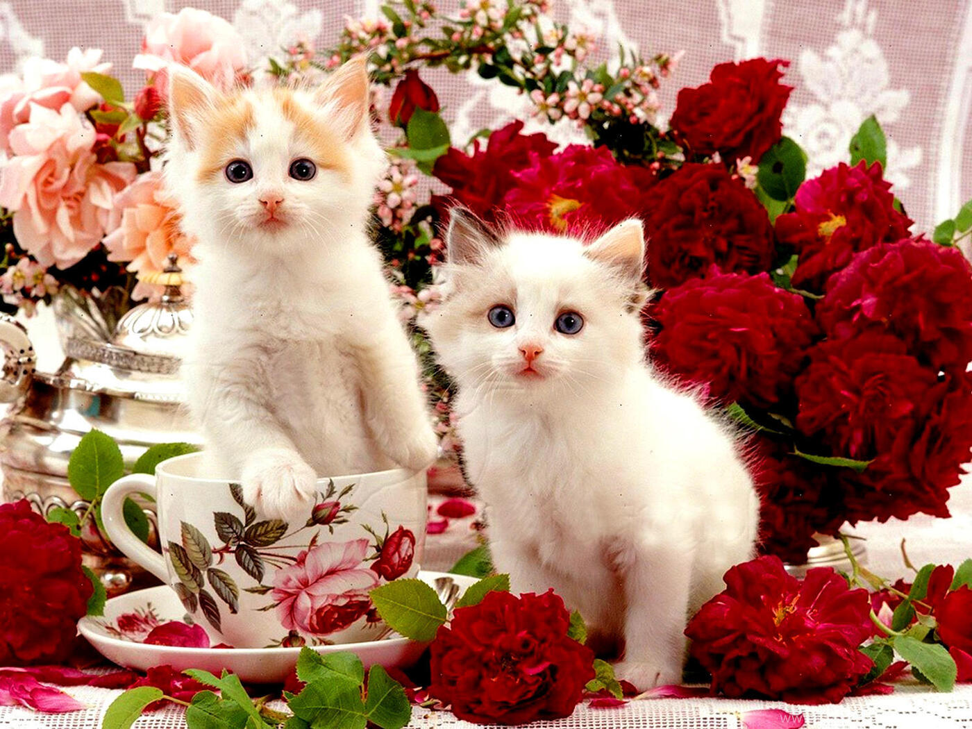 Кошка с букетом цветов