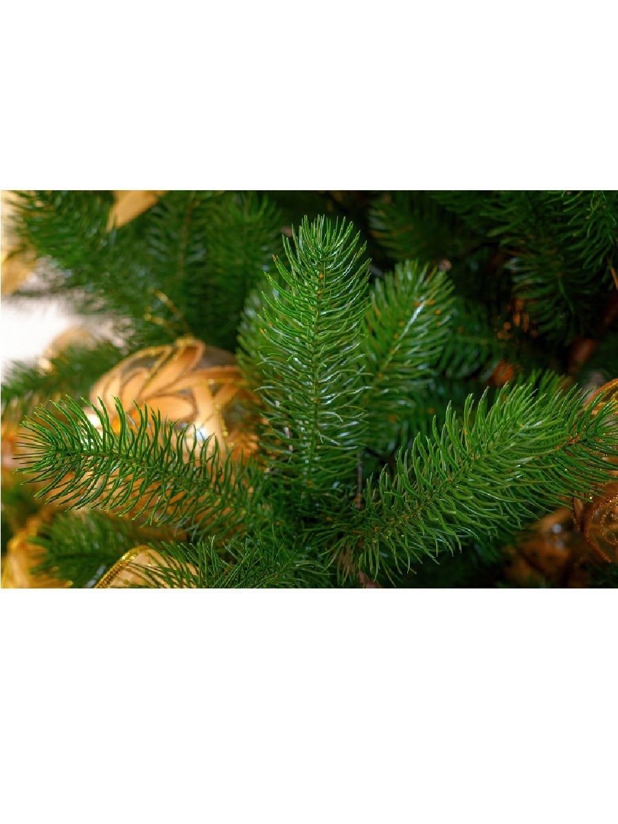 царь елка хаген 210. царь елка премиум 180. царь елка премиум 180. царь елка хаген премиум. искусственная ель царь елка алтея 210 см.