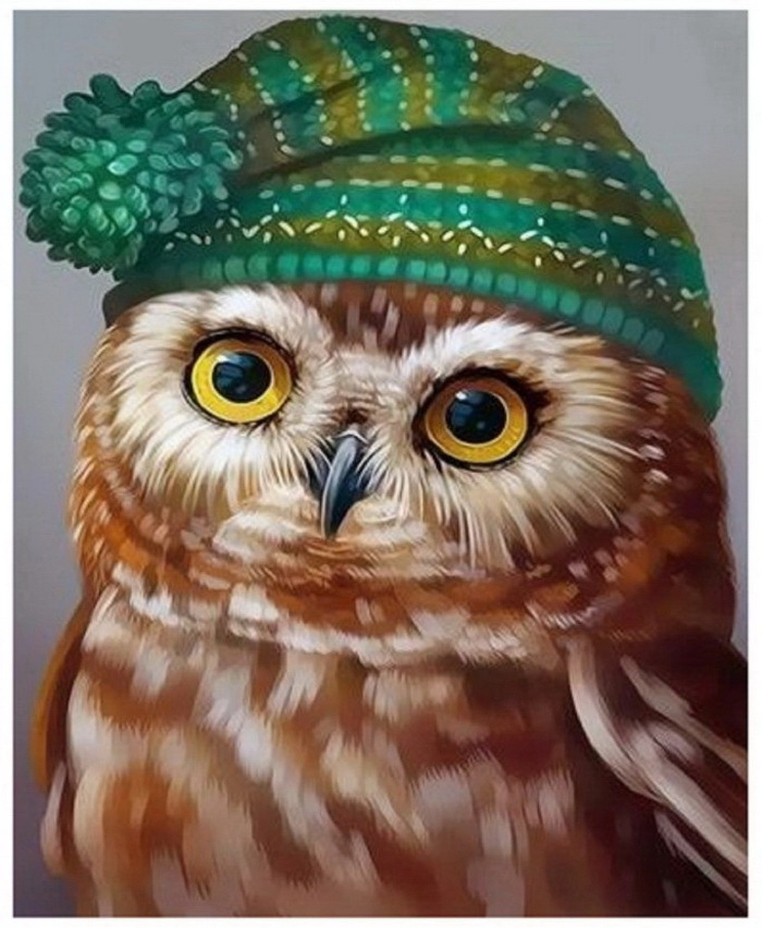 Сова в шапке рисунок