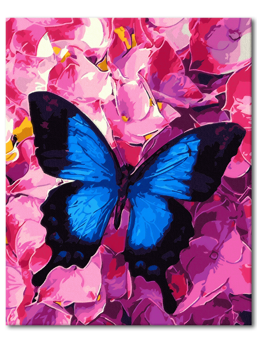 Розово голубая бабочка. Красивые бабочки. Розовые бабочки. Бабочки в цветах. Бабочка на цветке.