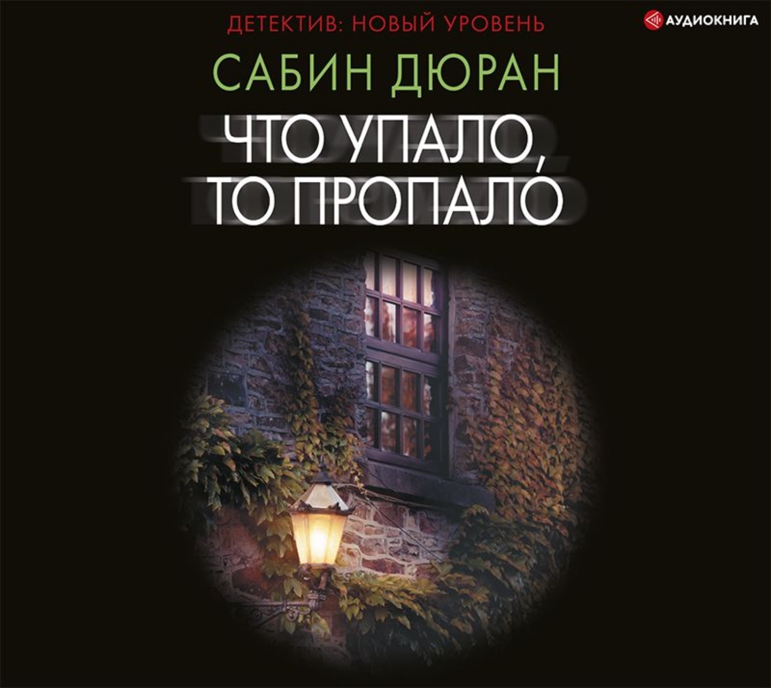 Слушать аудиокнигу пропавшая. Сабин Дюран. Что упало то пропало книга. Книга что упало то пропало Сабин книга. Сабин Дюран что упало.