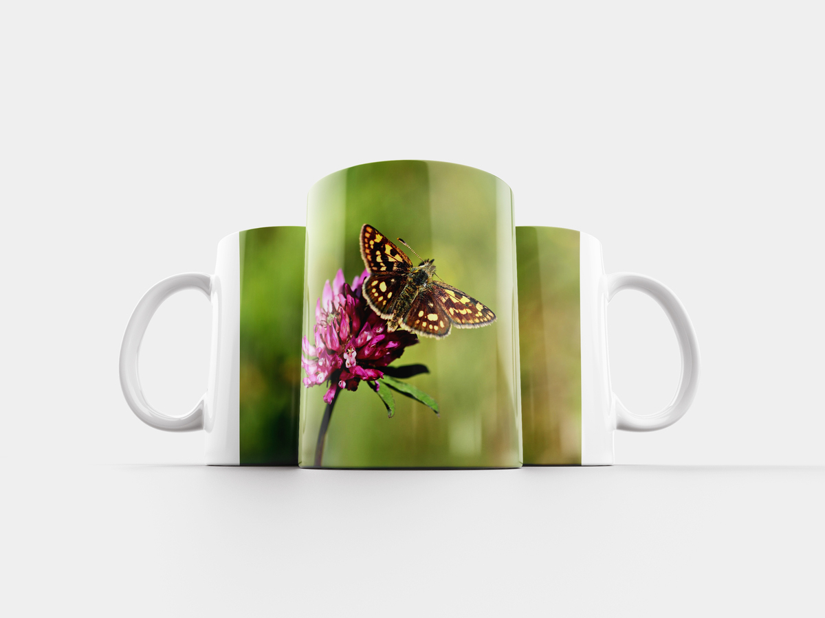 Бабочка с кружками 13 букв. Кружка бабочки. Чашки с бабочками арт 450020. Кружка с бабочками набор 6 штук. Кружка "бабочка", 210 мл.