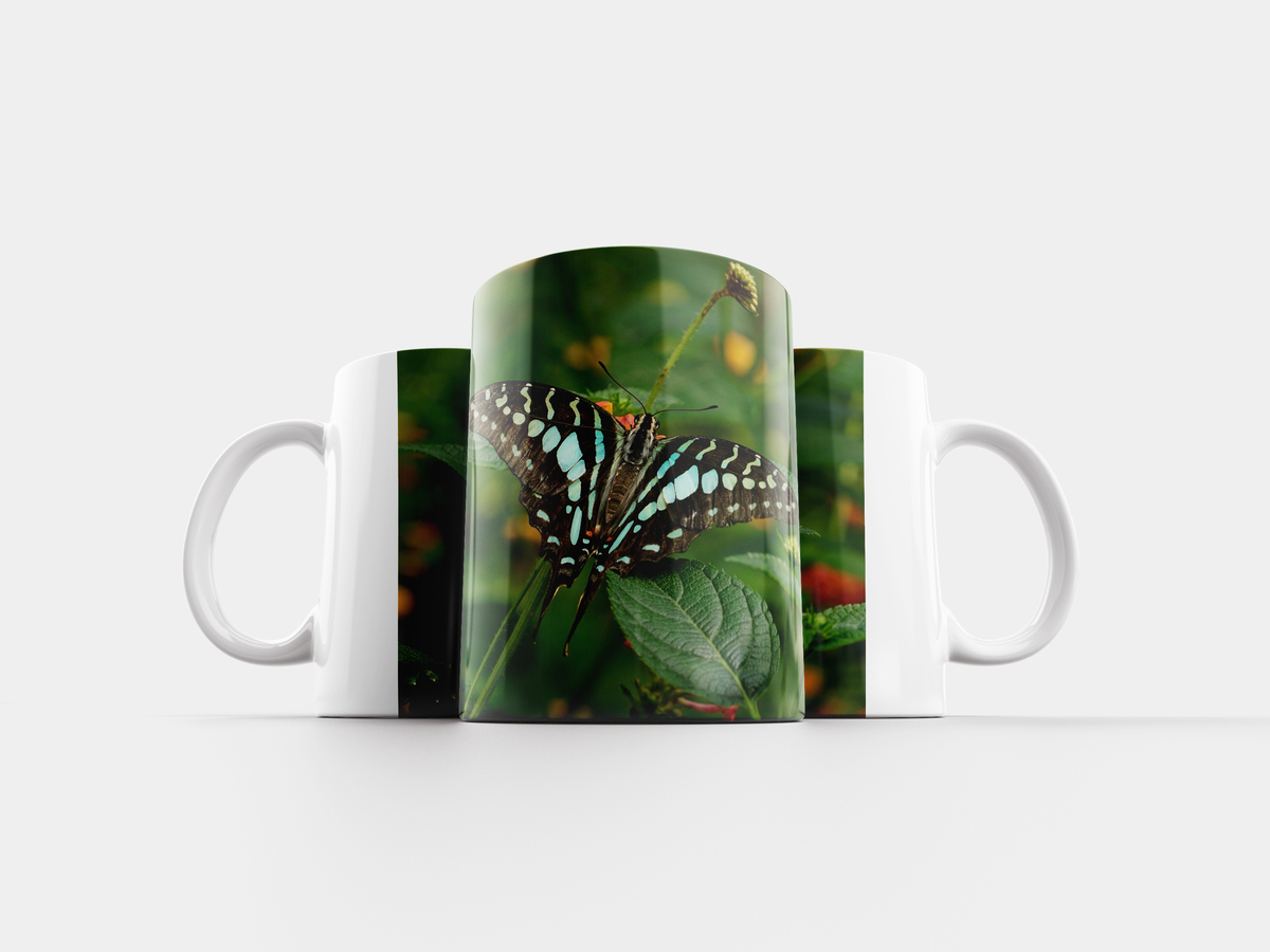 Кружка бабочки. Подарочная монета 3d-экзотическая бабочка - Харакса 2011. Бабочка с кружками 13 букв
