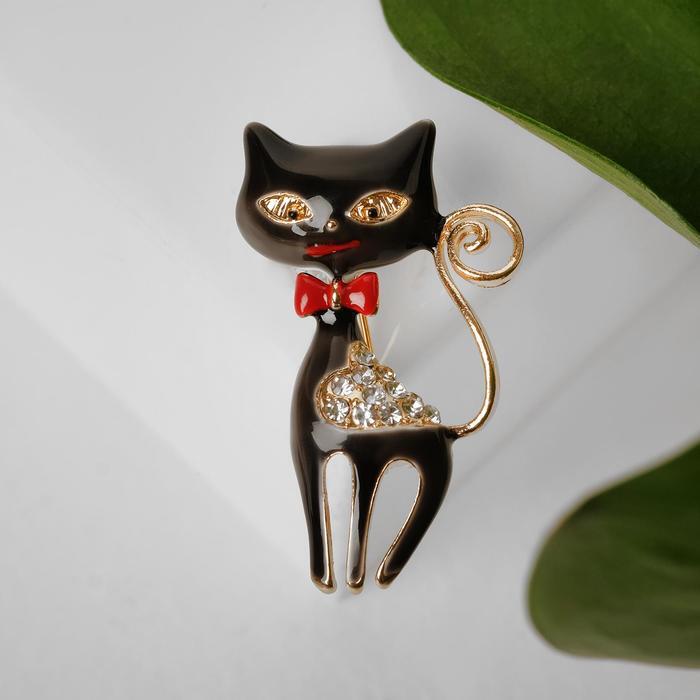Золотая брошь кошка. Брошь кошка ювелирная. Брошь с кошкой. Брошка кошка на прозрачном фоне. Брошка кошка золотая.