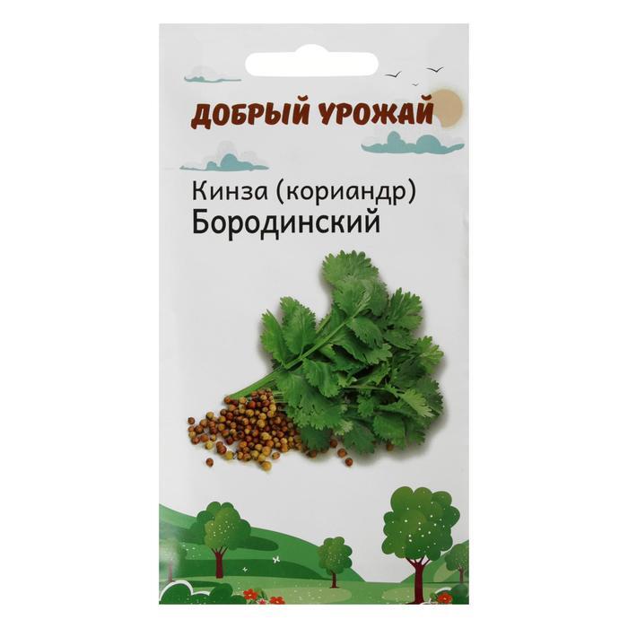 Семена Кинзы Купить