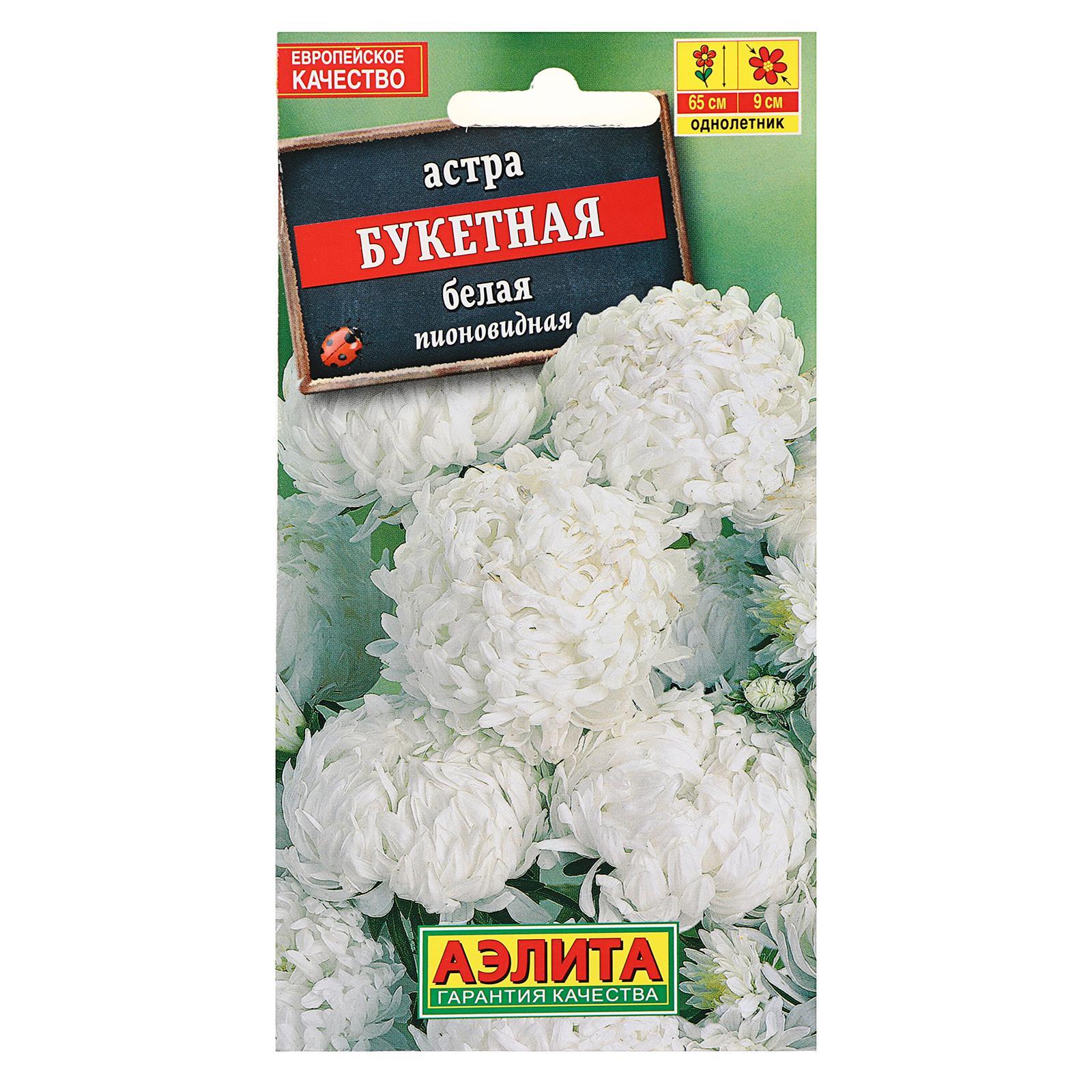 Астра Букетная