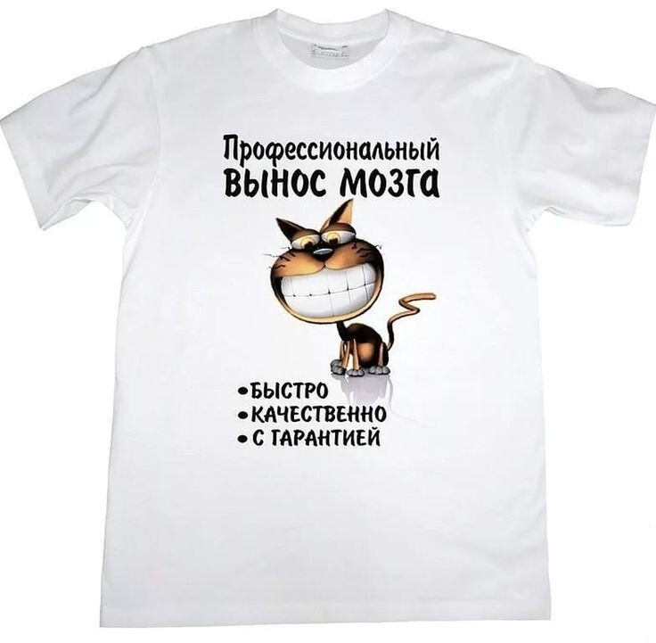 Прикольные надписи директору. Надпись на футболке вынос мозга. Прикольные надписи на футболках картинки. Прикольные футболки про работу. Фразы на футболку для дизайнера