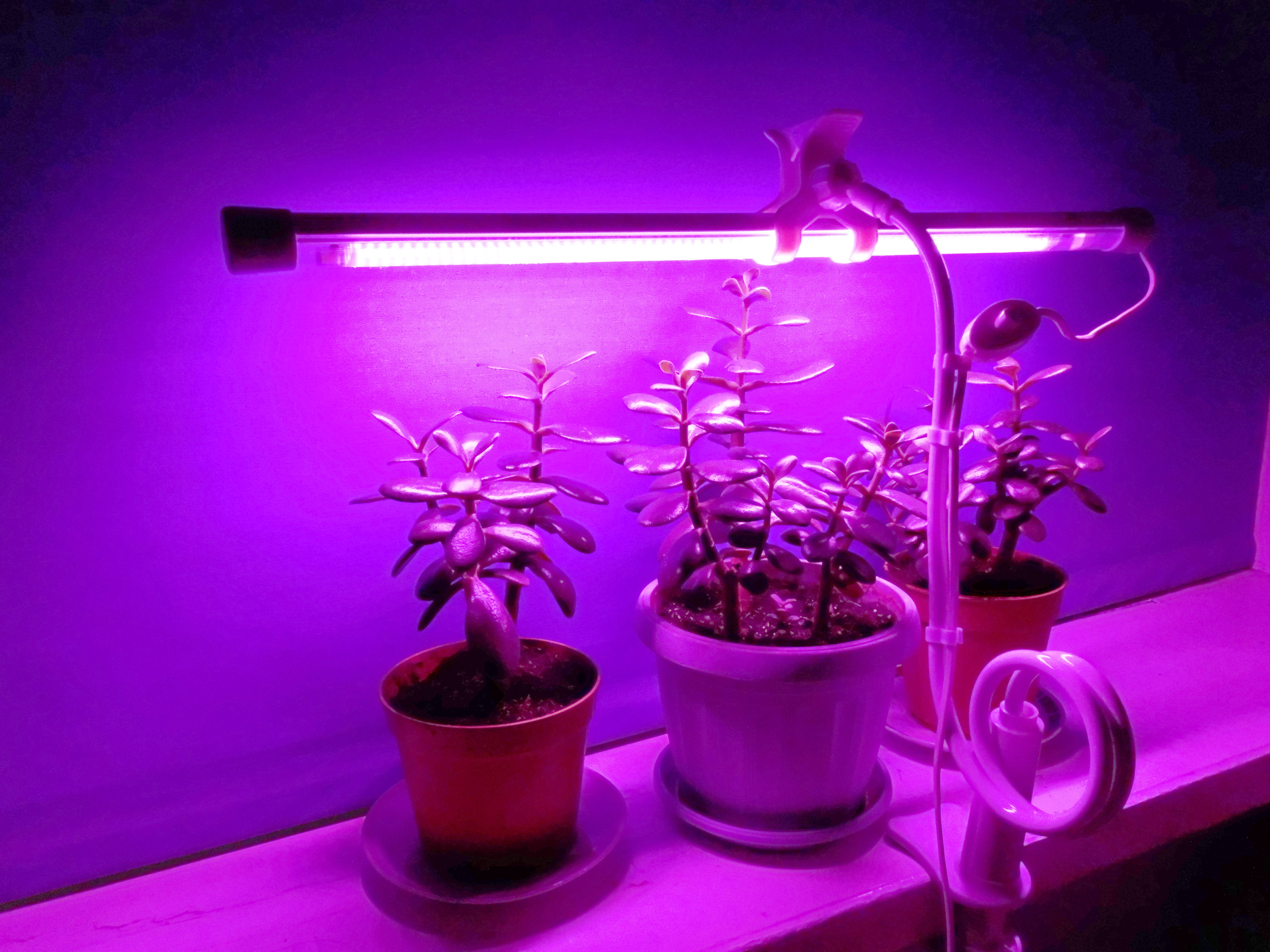 Можно ли подсвечивать рассаду светодиодными. Фито светильник для растений. "Полный спектр - 20 ватт". Фитосветильник «растущий светильник фито f1 16 Вт». Фитосветильник линейный 10w 567мм VKL VLED-Fito-lt5-10w (фиолетовый спектр). Фитосветильник для растений led 60 см., 10 Вт.