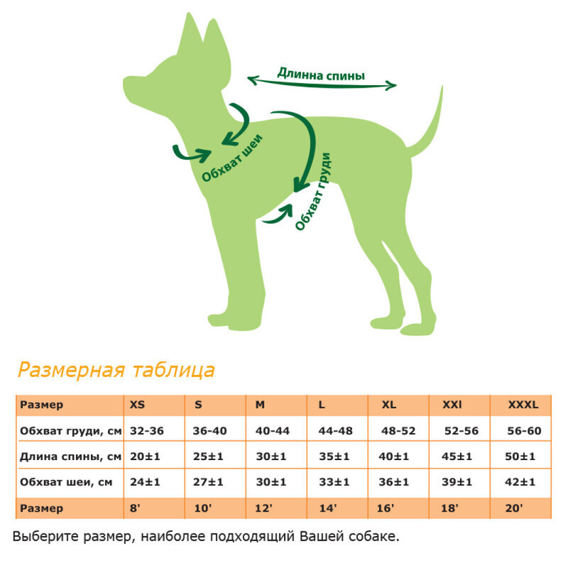 Размер одежды для собак