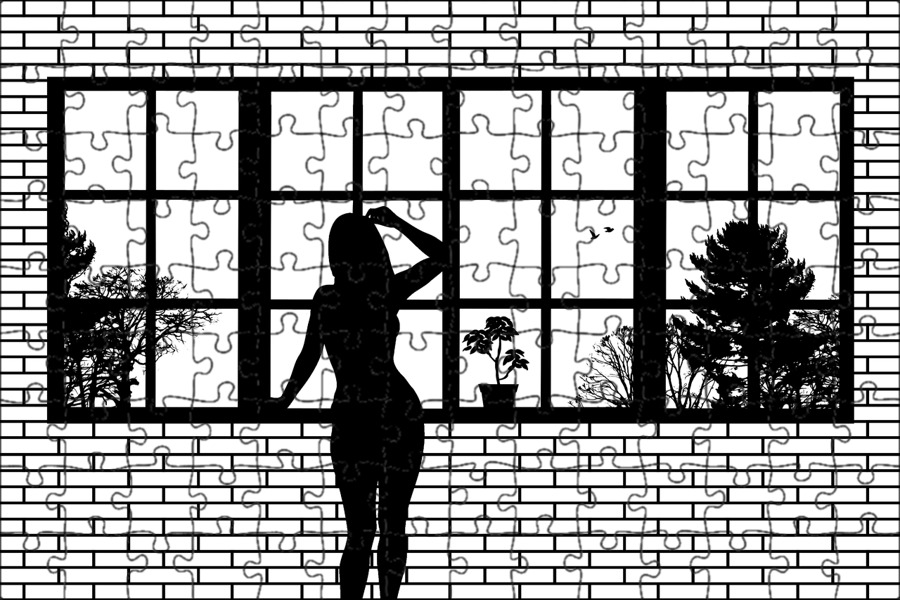 Девушка в окне игра. Игру девушка в окне 2. Девушка и кошка у окна. Девушка у старого окна. Игру девушка в окне 2.