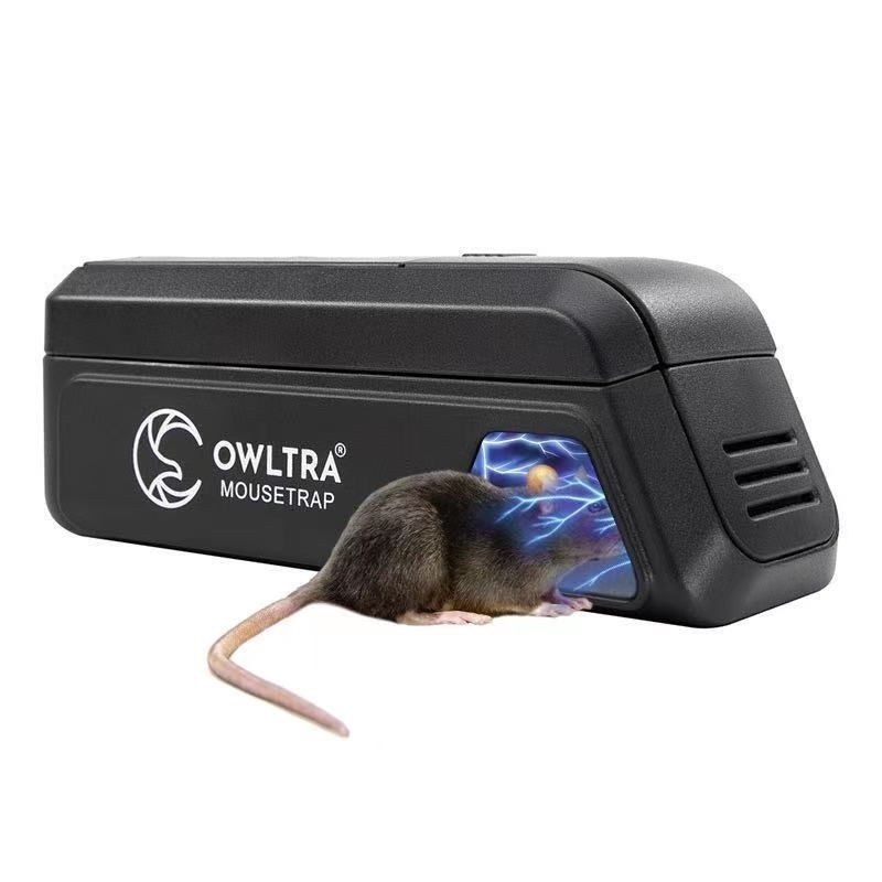 Крысоловка: самодельные устройства для поимки грызунов