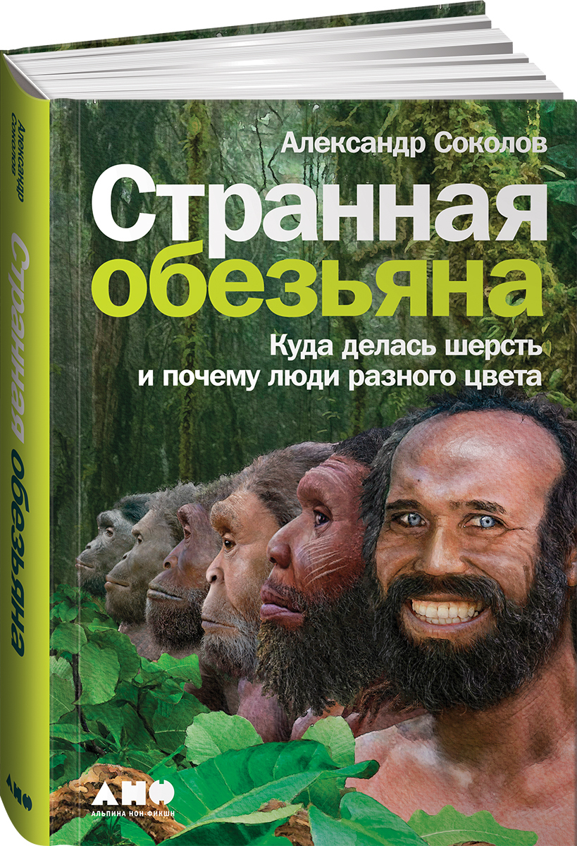 Странная обезьяна. Куда делась шерсть и почему люди разного цвета | Соколов  Александр Борисович