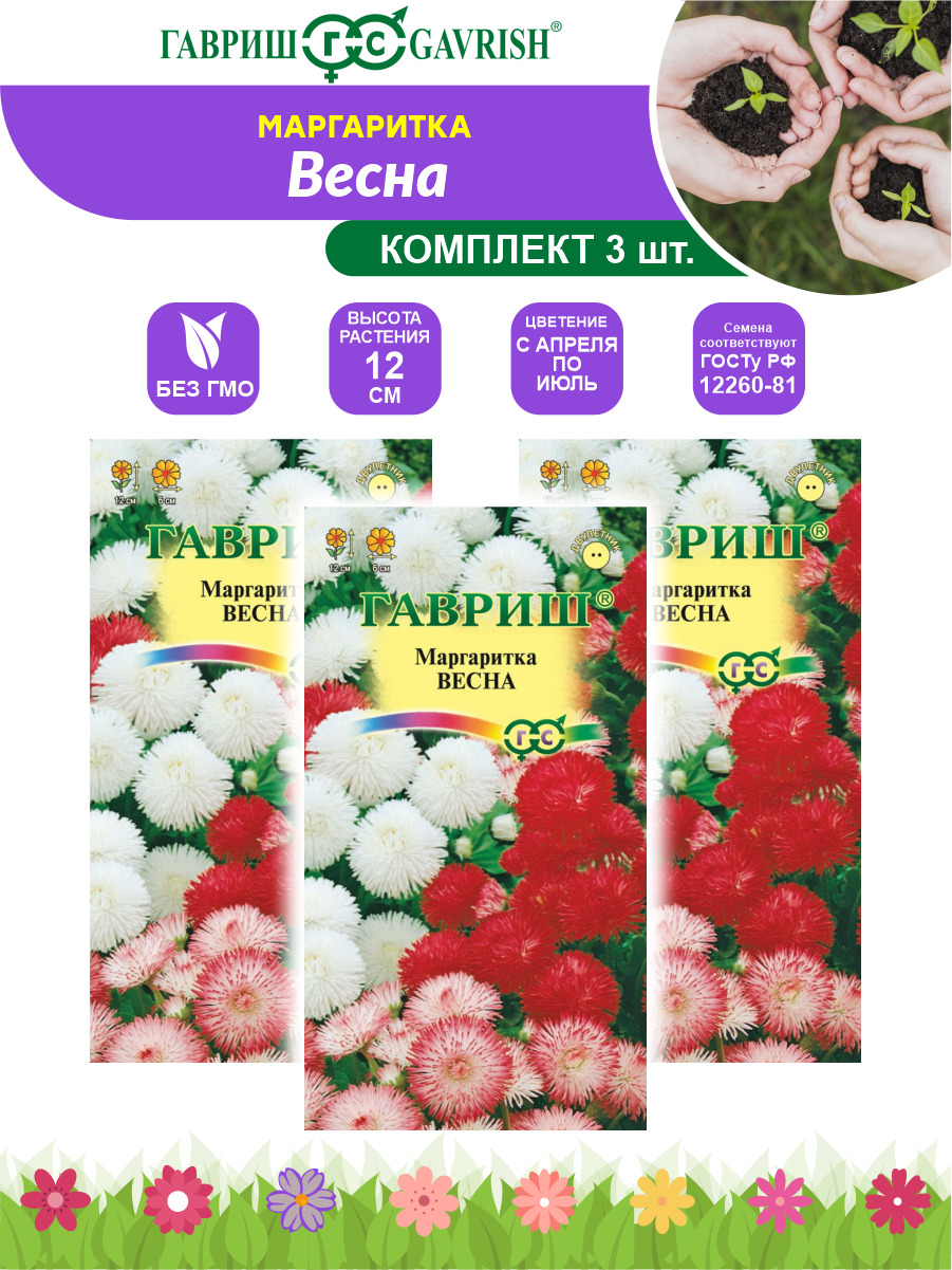 Маргаритки Семена Купить