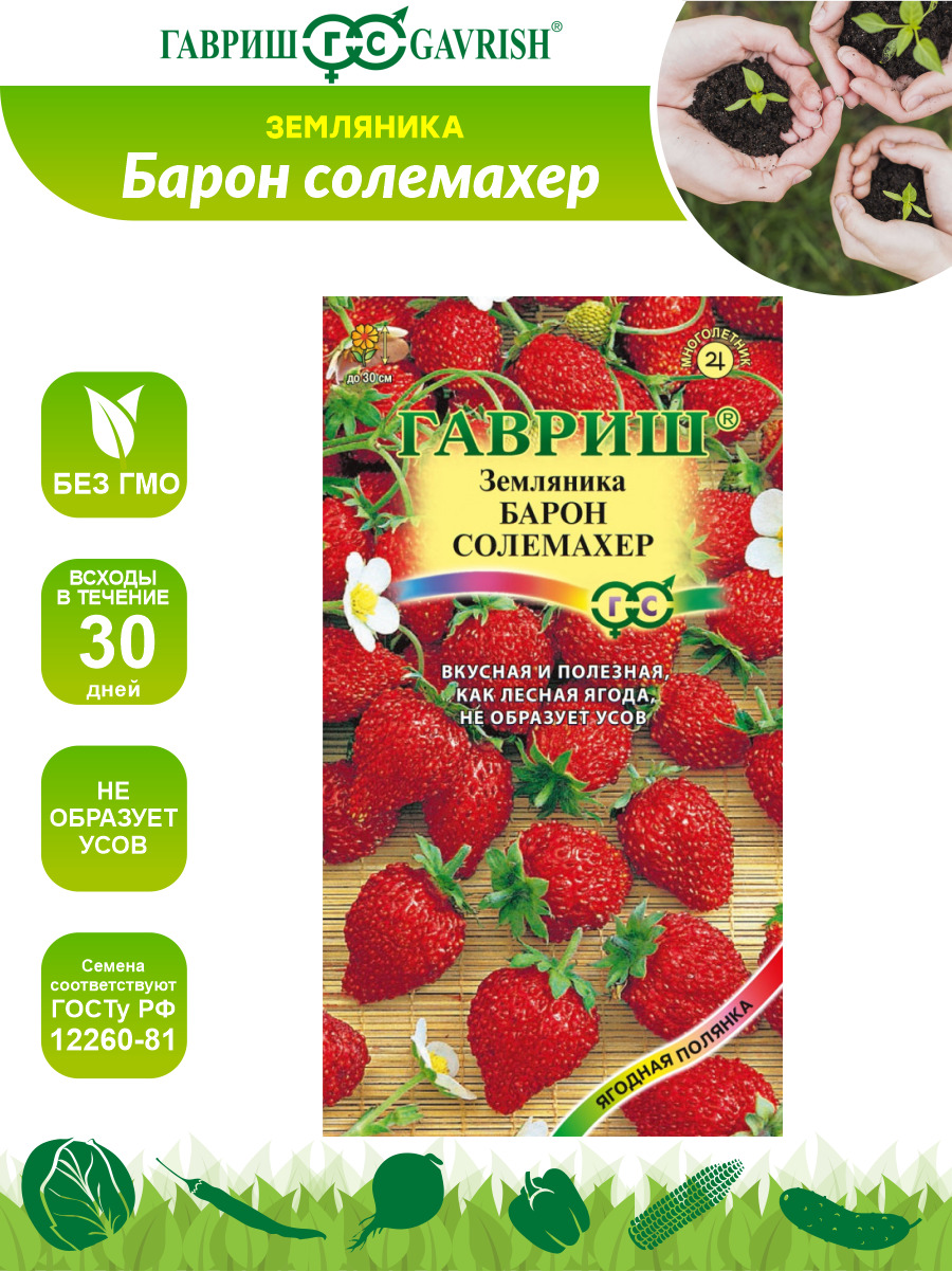 Семена земляника барон солемахер. Земляника Барон Солемахер Гавриш. Земляника Барон Солемахер семена Алтая. Земляника Барон Солемахер, ремонтантная, 0,03г, Гавриш. Земляника Барон Солемахер* 0,03 г.