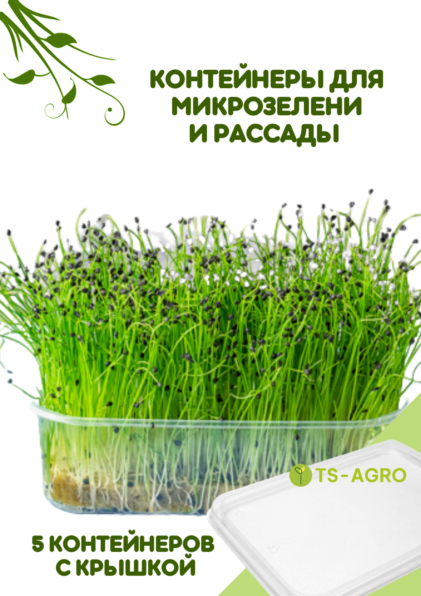 Набор для выращивания TS-AGRO, Укроп, Базилик, Многолетник купить по  выгодной цене в интернет-магазине OZON (524146900)