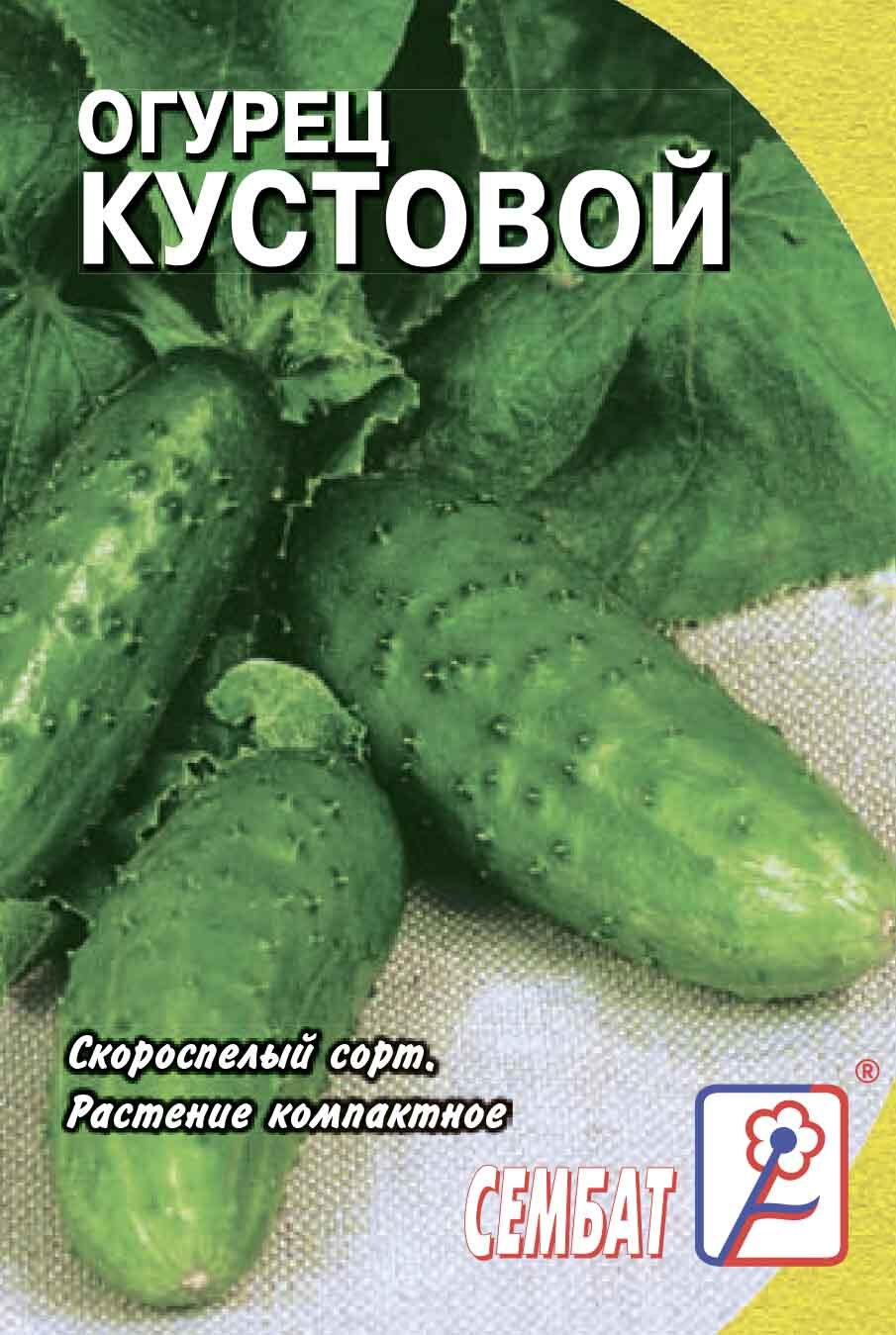 Купить Семена Огурцов Кустовой