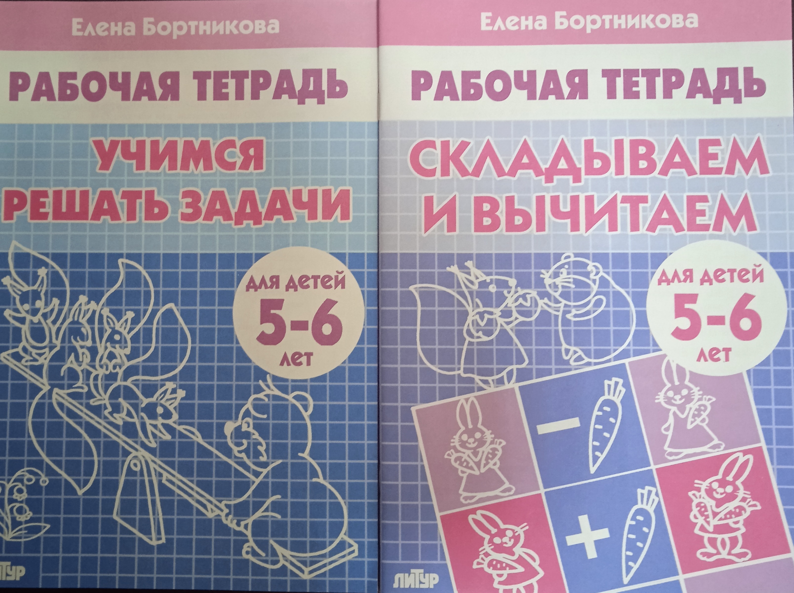 Учимся решать задачи. Складываем и вычитаем. Рабочая тетрадь для детей 5-6  лет. Комплект из 2 шт. | Бортникова Елена Федоровна - купить с доставкой по  выгодным ценам в интернет-магазине OZON (594665339)