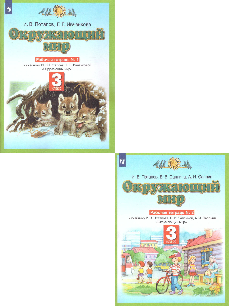 Саплина 3 Класс – купить в интернет-магазине OZON по низкой цене