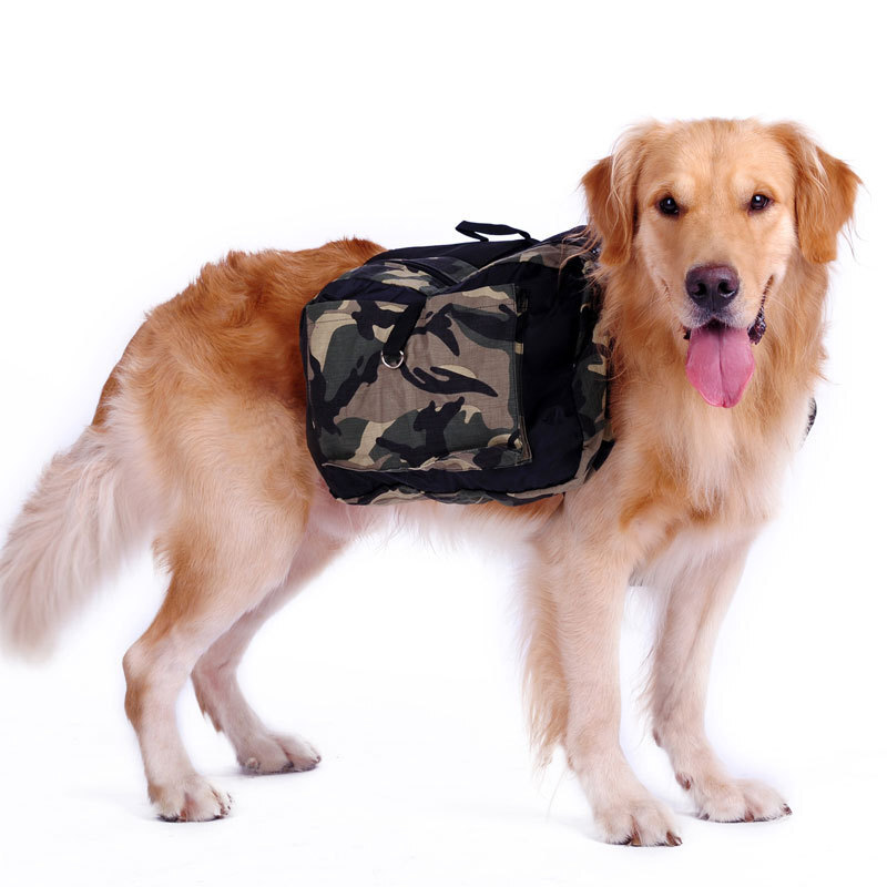 Большая собака в сумке