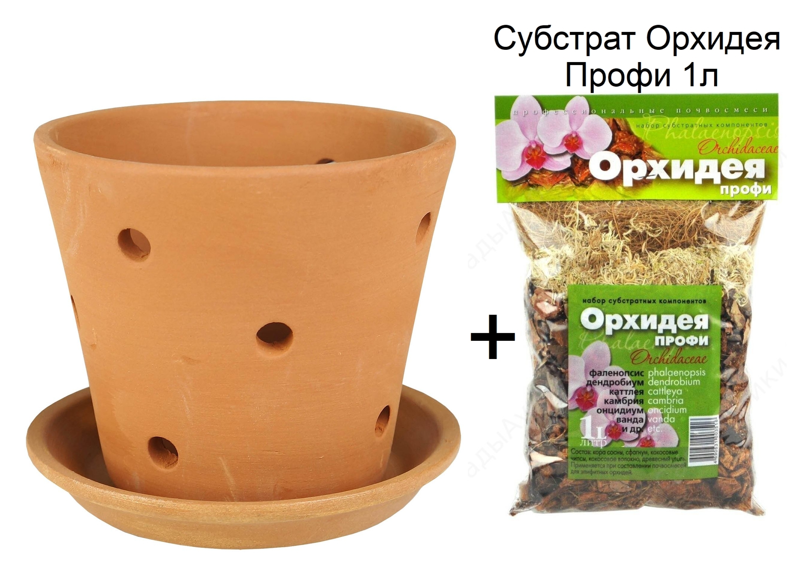 Закрепление растения в субстрате. Закрепление растения в субстрате