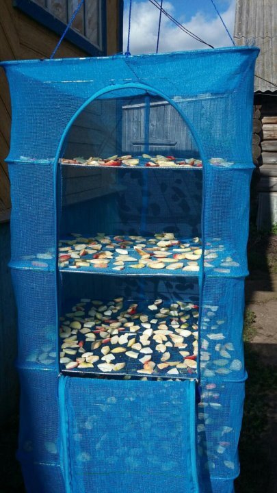 Подвесная сетка сушилка для рыбы овощей и фруктов 50 х 50 х 100 см. Сушилка для овощей и фруктов из сетки. Сетка для сушки рыбы (размер 54*54*75). Сушилка для рыбы. Сушилка для овощей и фруктов из сетки.