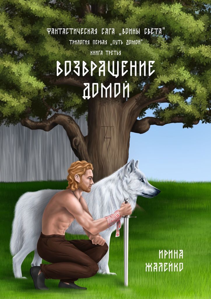 Воин света книга читать. Возвращение домой книга. Фантастическая сага. Книги возвращаются домой. Книга воина света.