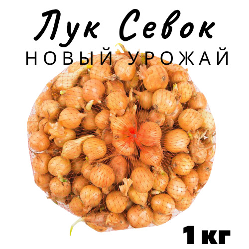 ЛукСевок1кг