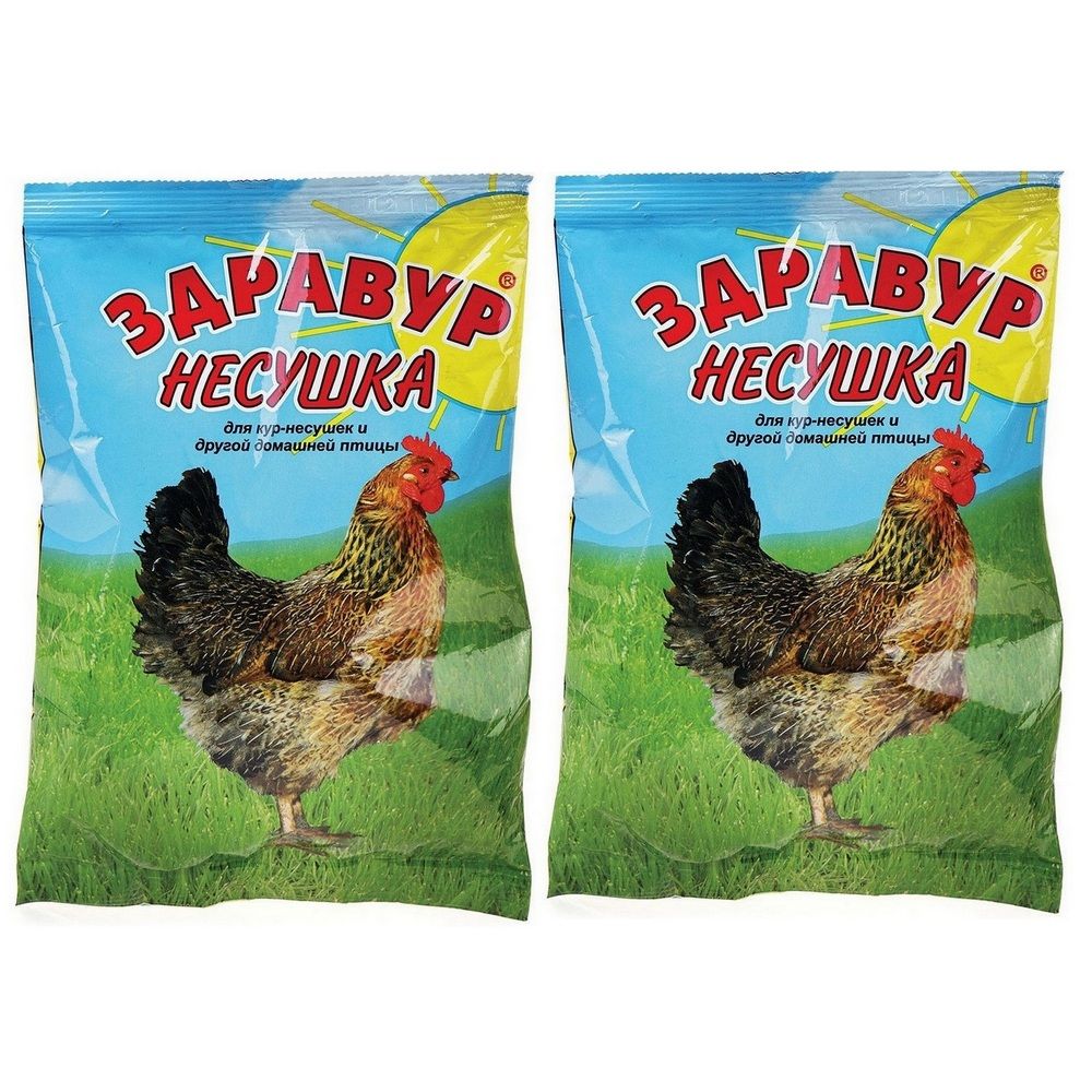 Курицы твоего города. Здравур Несушка 1,5. Здравур Несушка 1,5кг к/6шт. Здравур Несушка 600г. Здравур для кур несушек