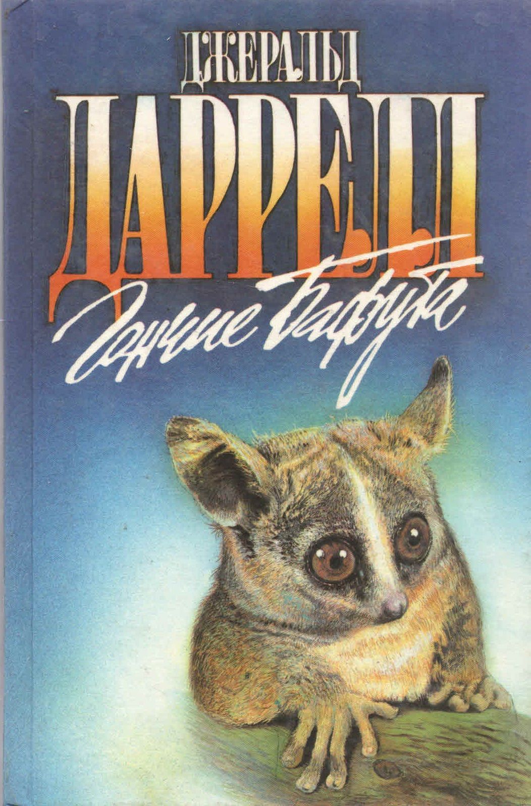 Гончие бафута картинки