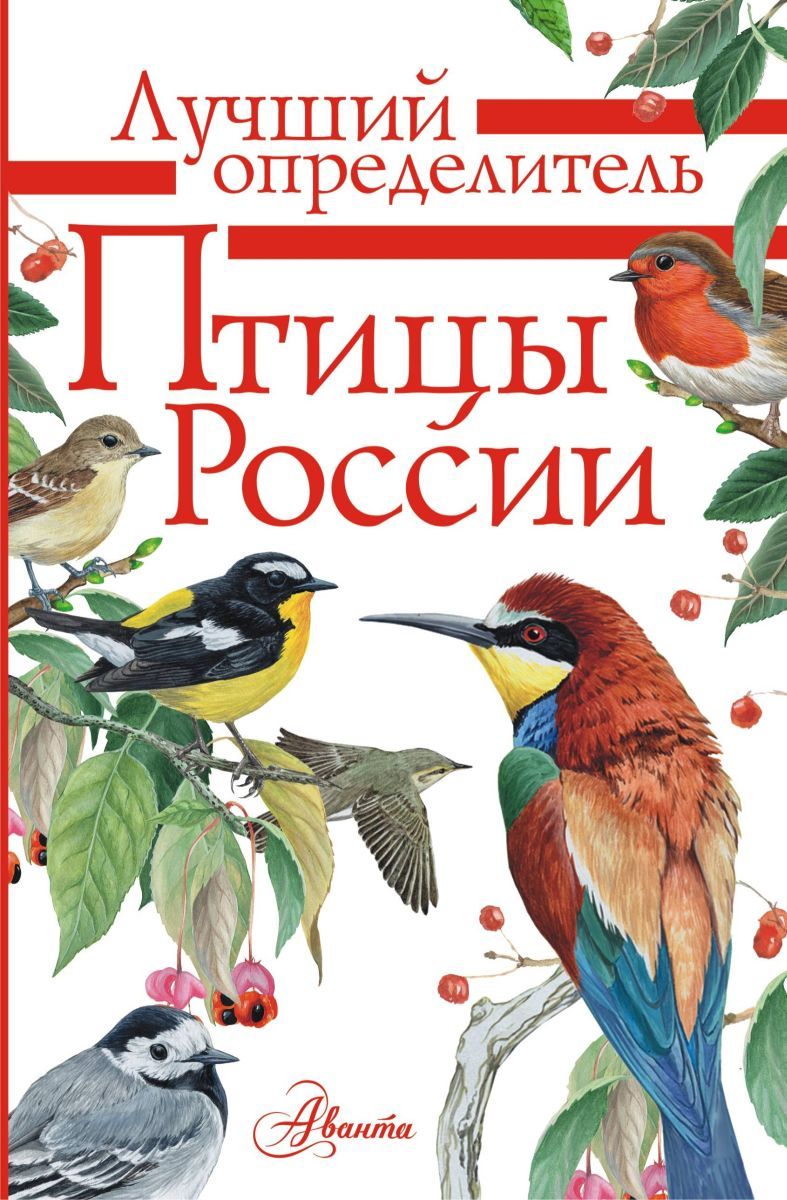 Книга птичка. Птицы России. Определитель Мосалов а., Волцит п.. Птицы России определитель Мосалов. Птицы России. Определитель а. а. Мосалов п. м. Волцит книга. Определитель птиц книга Волцит Целлариус.