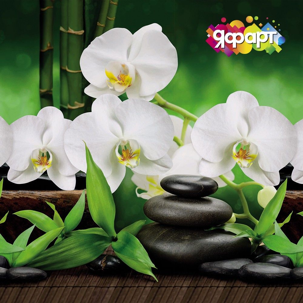 Фартук орхидея. Фартук для кухни орхидеи белые. Кухонные панели с орхидеями. Стеновая панель белая Орхидея. Пластиковые панели для кухни Орхидея.