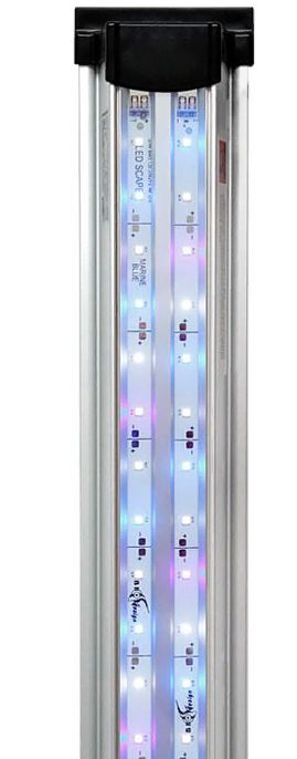 Светильник для аквариумов биодизайн led scape day light (180 см. Светильник для аквариумов биодизайн гибрид t5 + led scape hybrid maxi light (70 см. Светильник для аквариумов биодизайн led scape maxi light (80 см. Светильник биодизайн led scape day light 6500k. Светильник встраиваемый биодизайн led scape sun light eco 910436/eco.