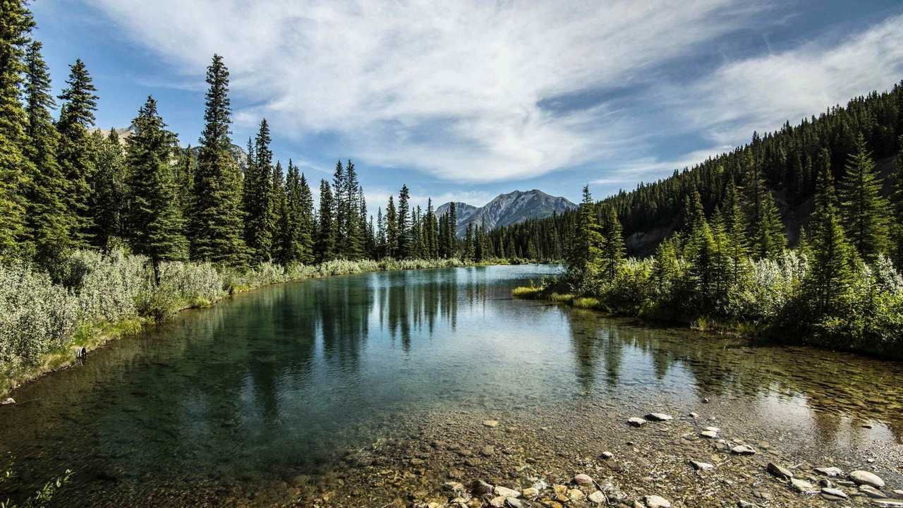 Реки озера фото