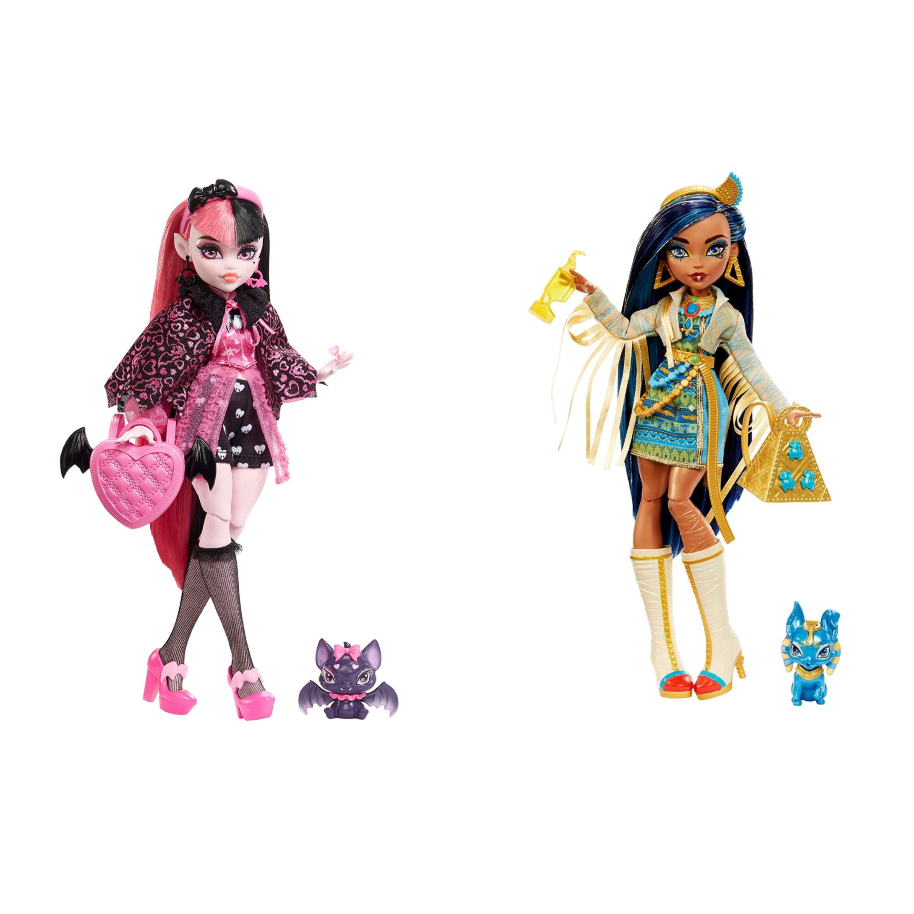 Монстер Хай сет Monster High Draculaura & Cleo G3 - купить с доставкой по  выгодным ценам в интернет-магазине OZON (790688224)