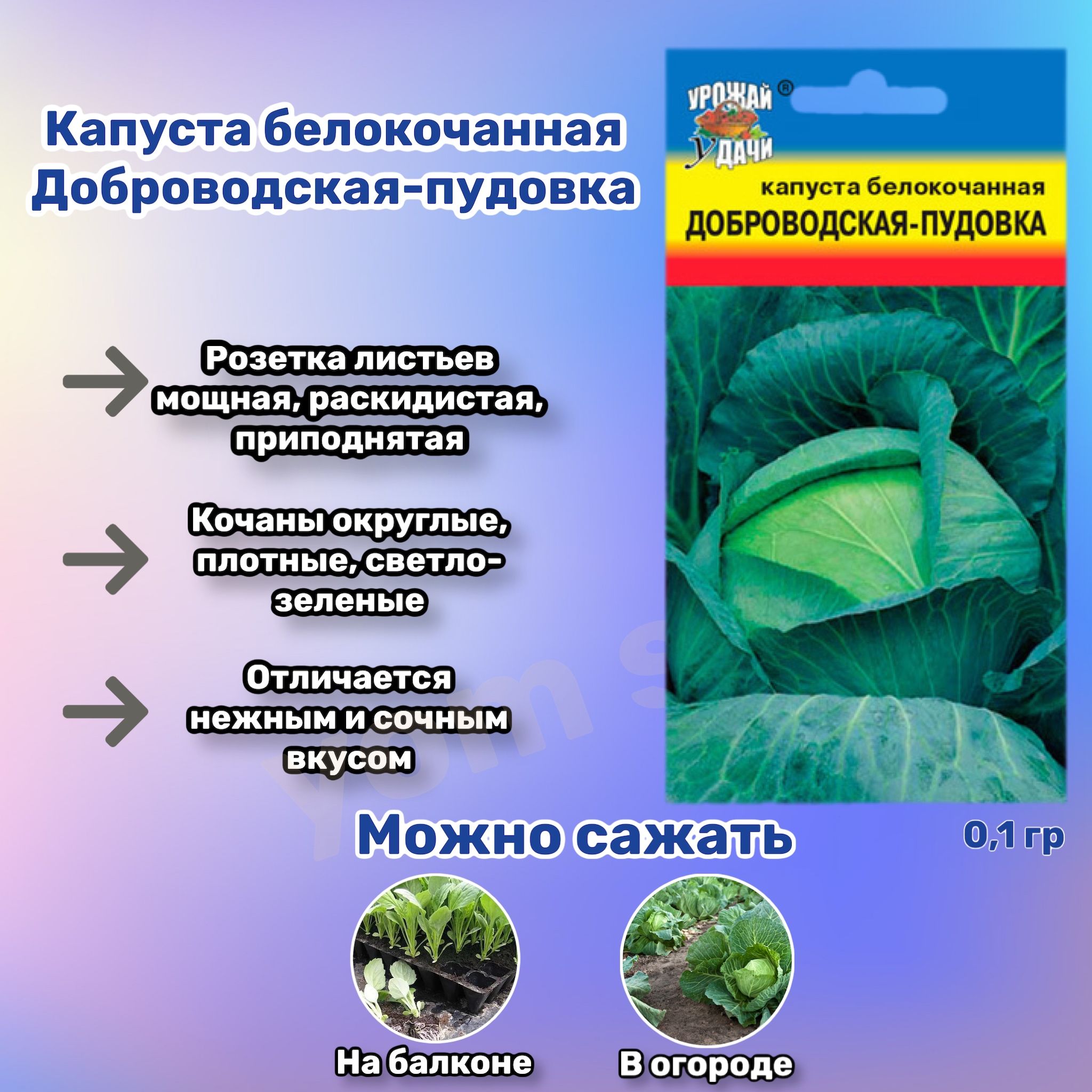 Капуста Доброводская Купить Семена