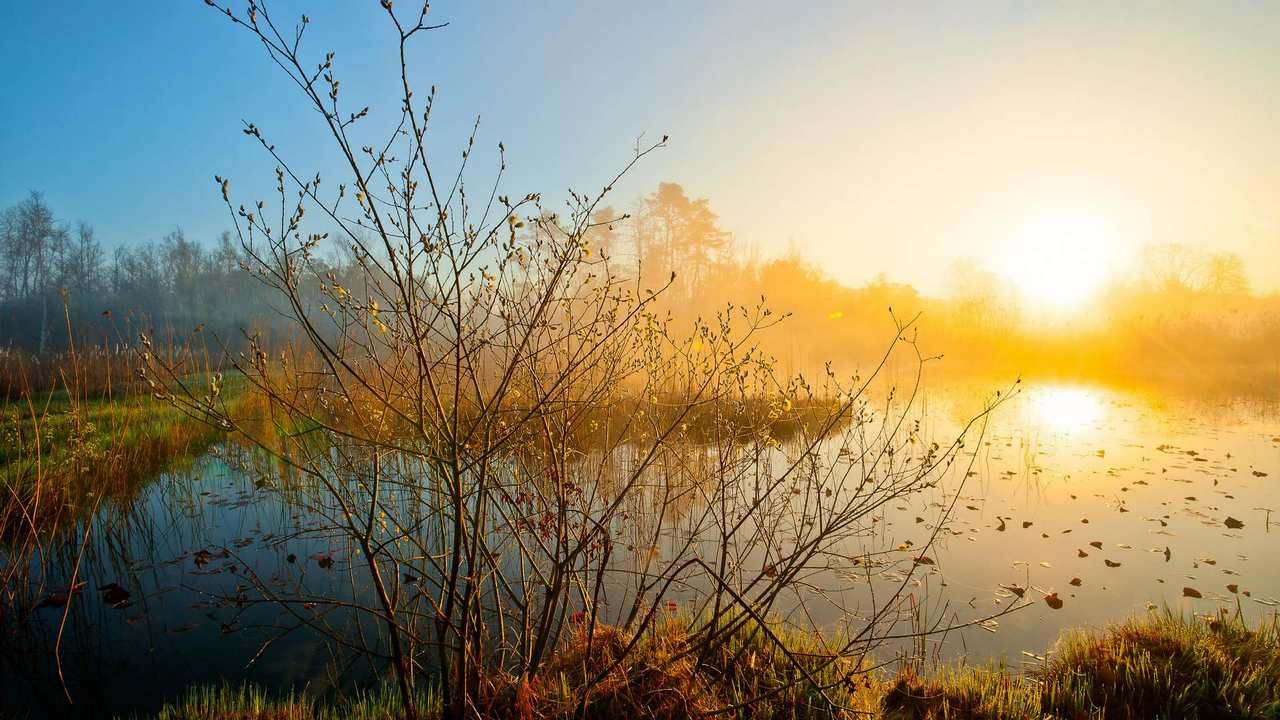 В час жаркого весеннего. Весенний рассвет. Весенний закат. Весенняя природа.