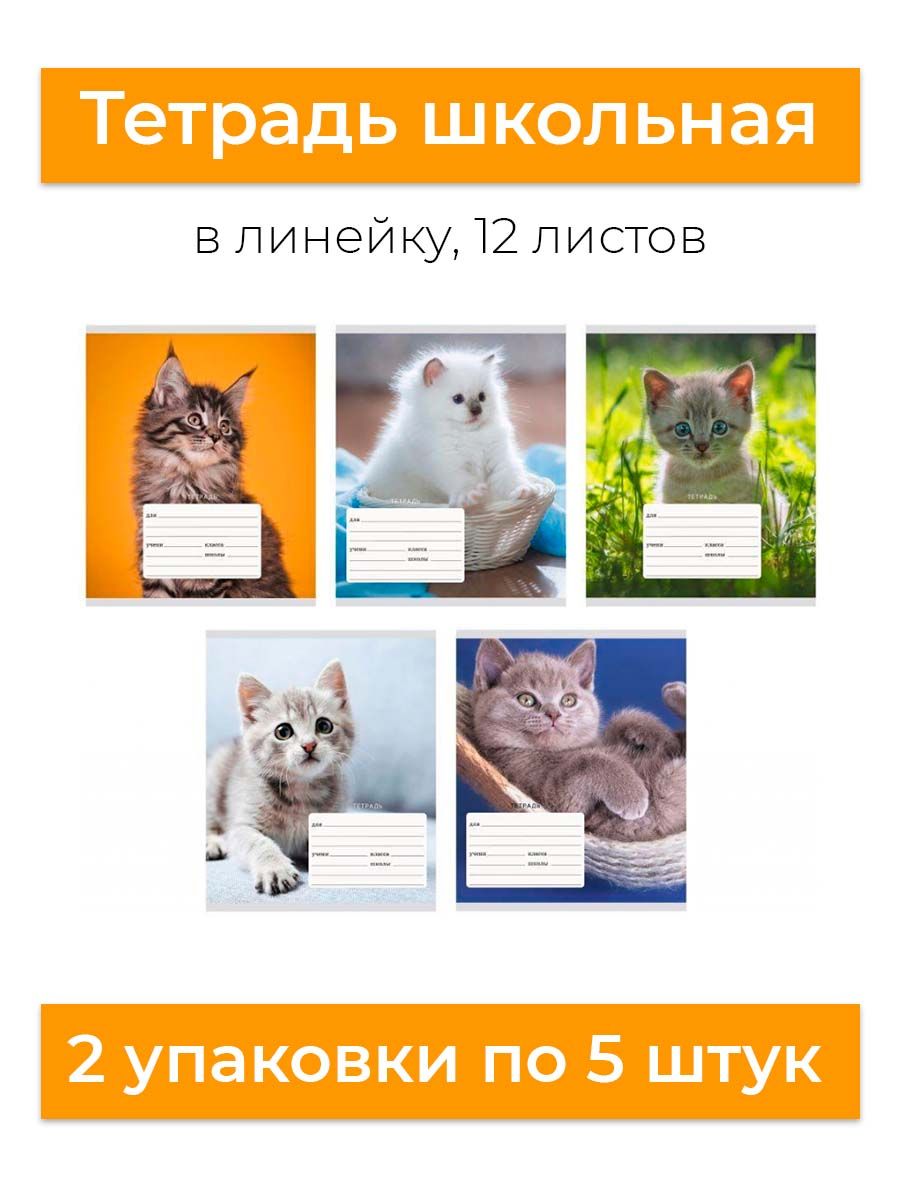 Котики в линию ответ все варианты. Тетради 12л тл127567 тетради а5 линия котята. Эксперимент с котятами и линиями. Котик линиями.