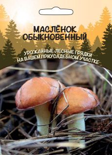 Грибы Масленок Обыкновенный, 1 пакет, зерновой мицелий 30 мл, Уральский Дачник