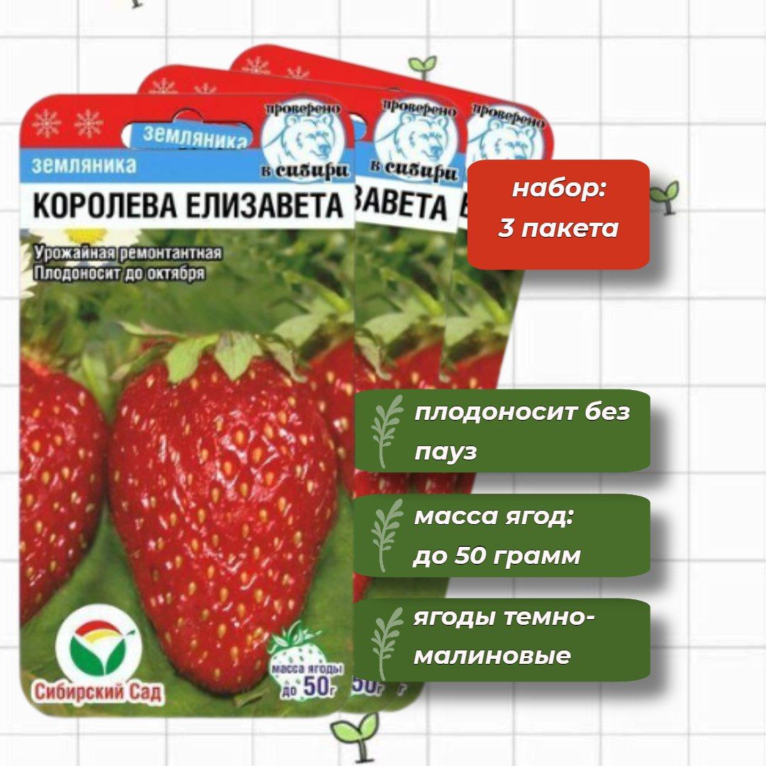 Описание клубники тага. Клубника в Сибири. Описание клубники Рубин н.