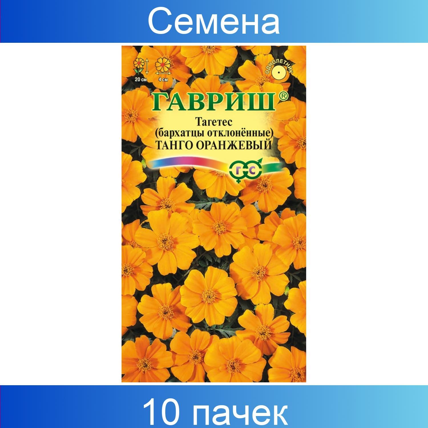 Бархатцы отклоненные танго оранжевый Гавриш. Бархатцы отклоненные танго оранжевый. Гавриш бархатцы отклоненные f1 Килиманджаро. Бархатцы отклоненные танго желтый.