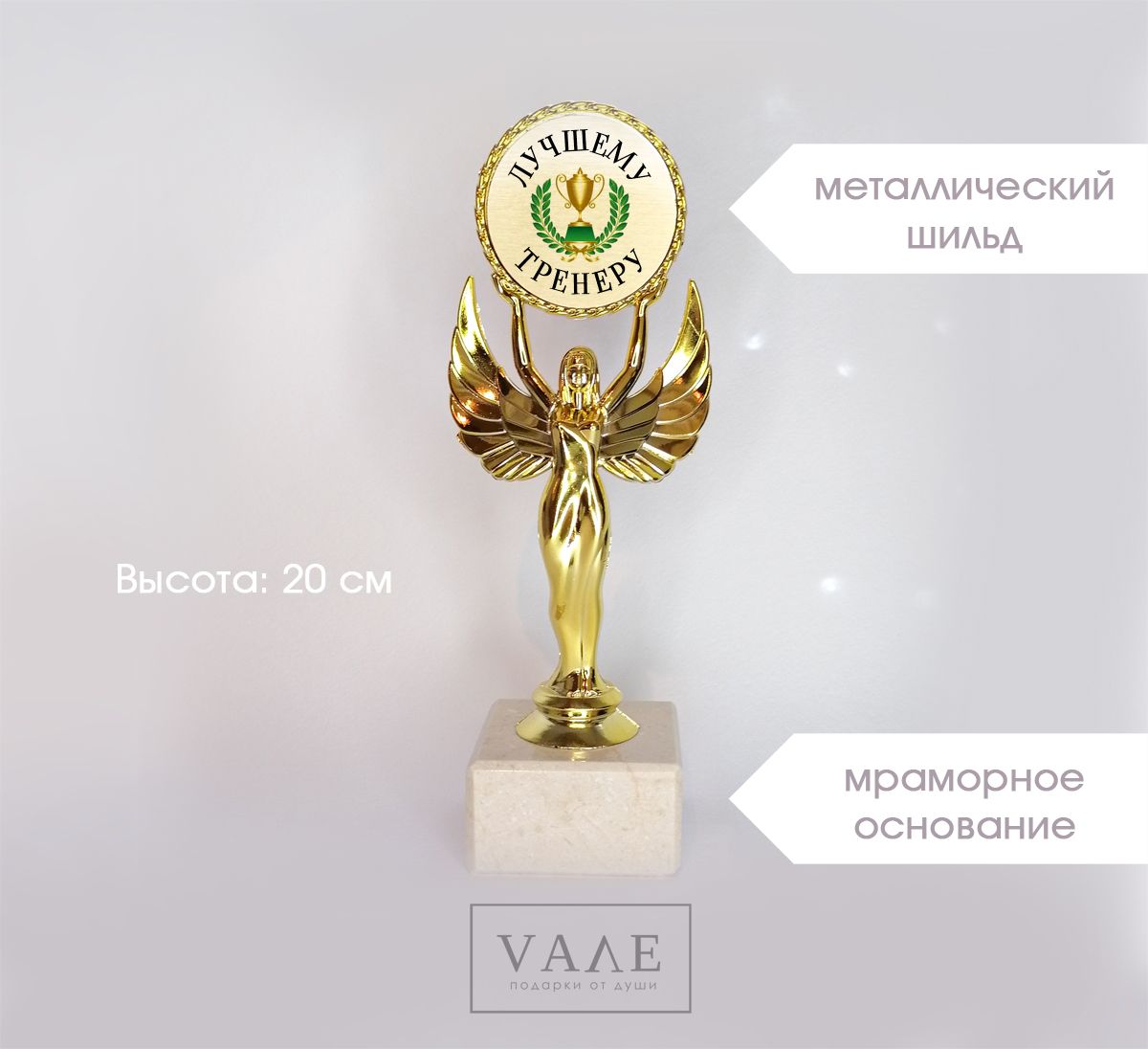 Диплом лучшему тренеру