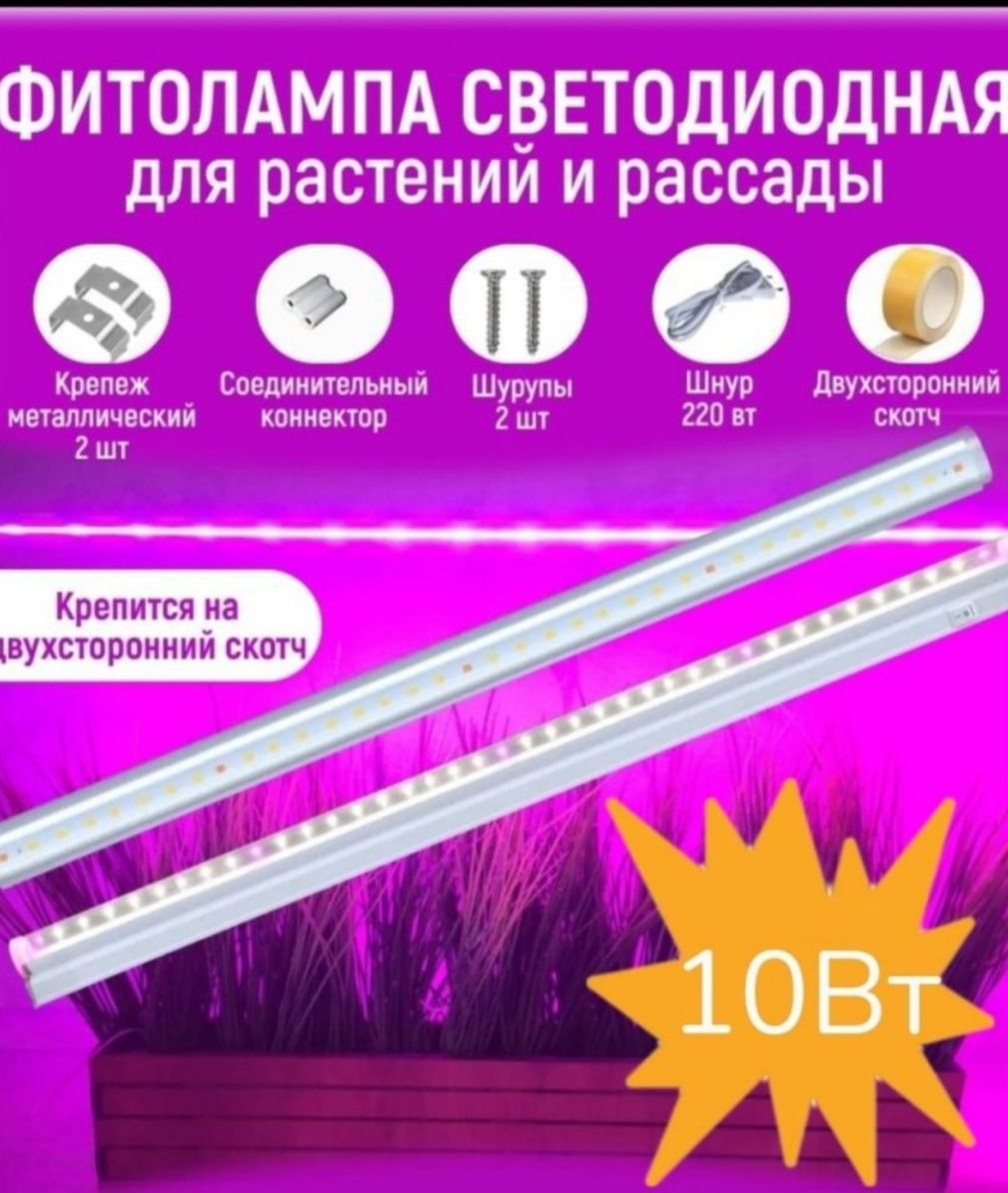 Фиолетовая Лампа Для Рассады Купить В Уфе